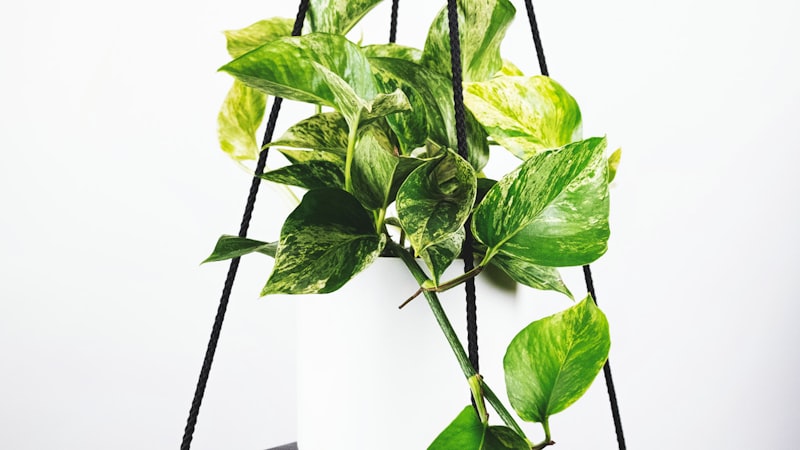 英超联赛球员热力图与跑动距离数据可视化分析